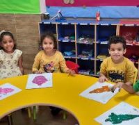 KG2 Colors Day089